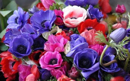 С днем рождения коллеги!!!